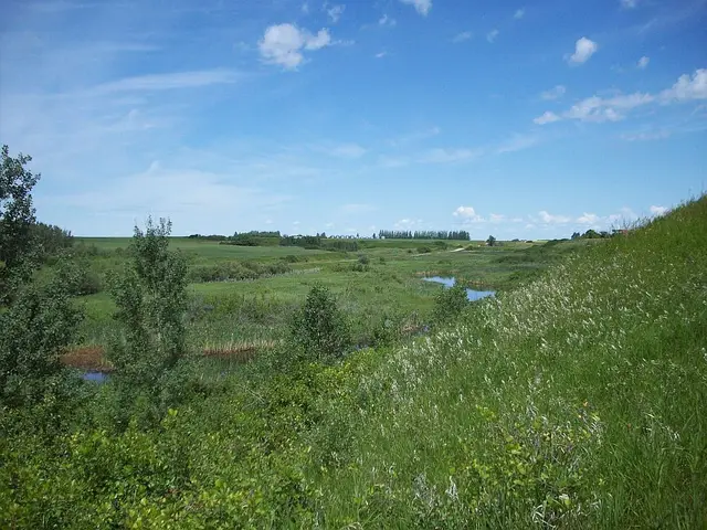 Echo Creek valley north of Qu'Appelle