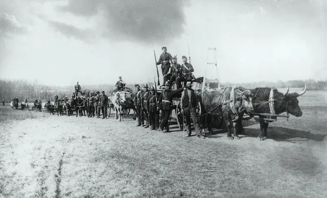 Troops and ox-drawn wagons on the march, North-West Rebellion